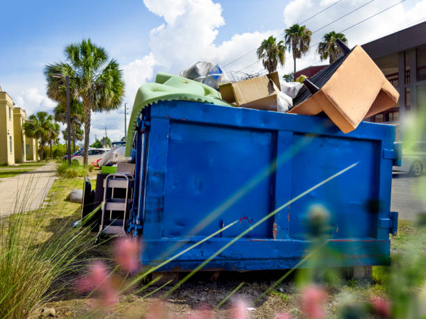 Debris Removal in Woodruff, SC